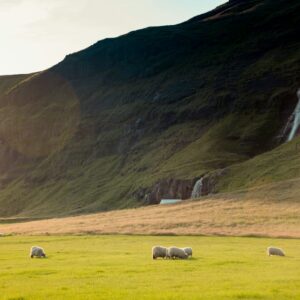 switzerland campers spot wallpaper